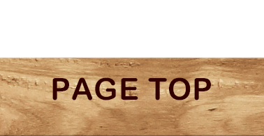 PAGE TOP
